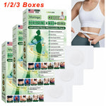 Moringa & Berberine 10-IN-1 Advanced Nano Microneedle Patch