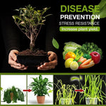 Garden Soil Conditioner Mineral Source Activator For Prevent Soil Compaction Promote Rooting Flower Plant Fertilizer Nutrient
