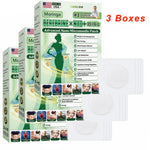 Moringa & Berberine 10-IN-1 Advanced Nano Microneedle Patch