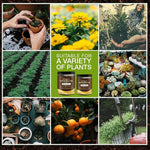 Garden Soil Conditioner Mineral Source Activator For Prevent Soil Compaction Promote Rooting Flower Plant Fertilizer Nutrient
